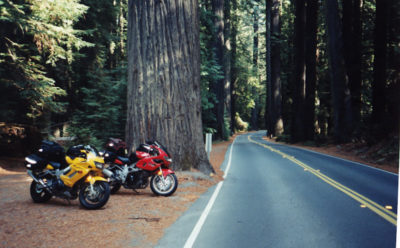 Motorcycles Avenue of the Giants Redwoods